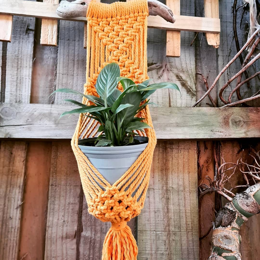 Driftwood with rope net plant holder
