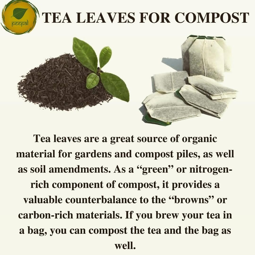 tea bags in compost bin