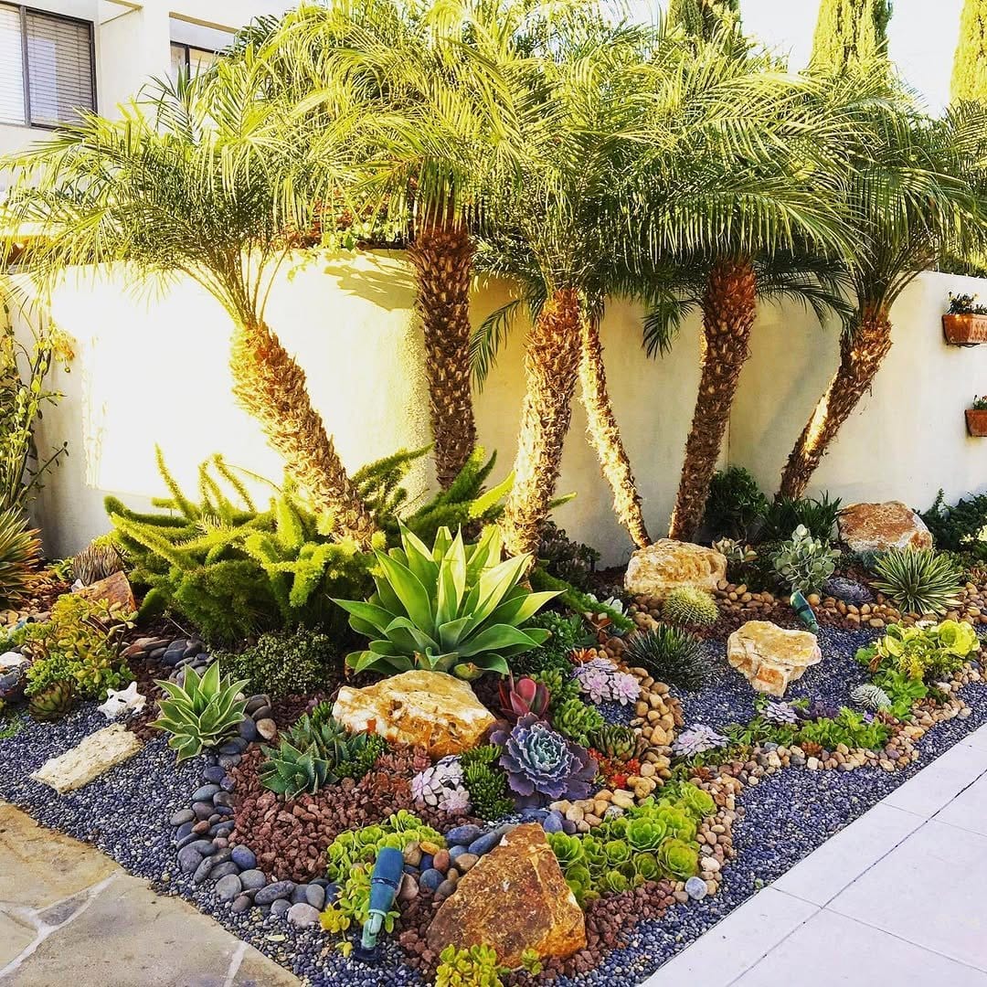 Palm and succulent