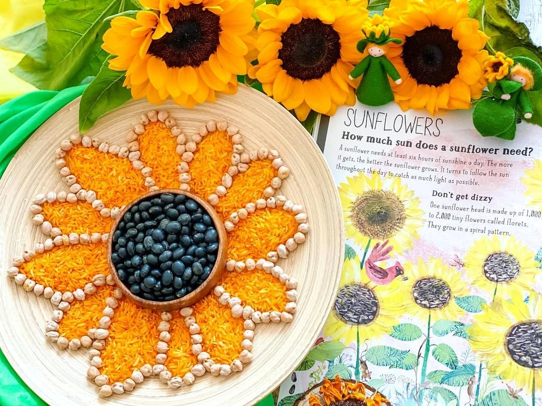 Sunflower motif plant pots with bright designs