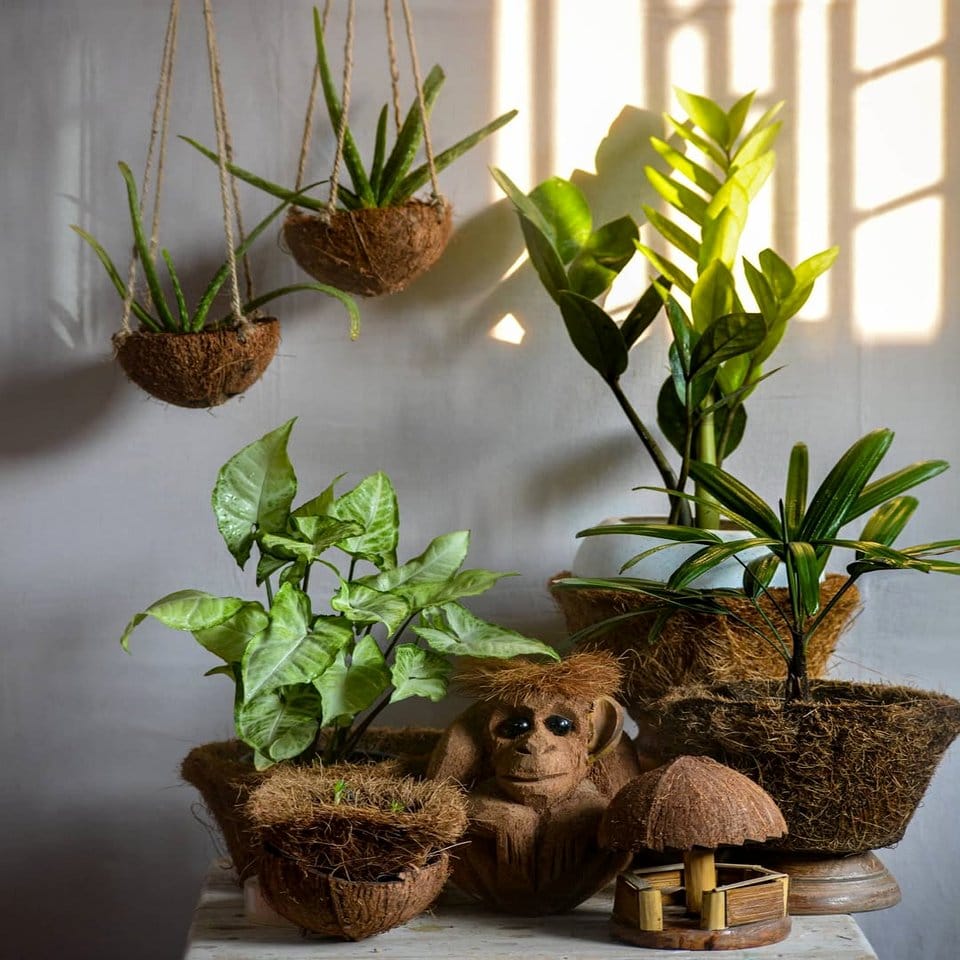 Mobile plant cart adorned with Javanese Batik fabric
