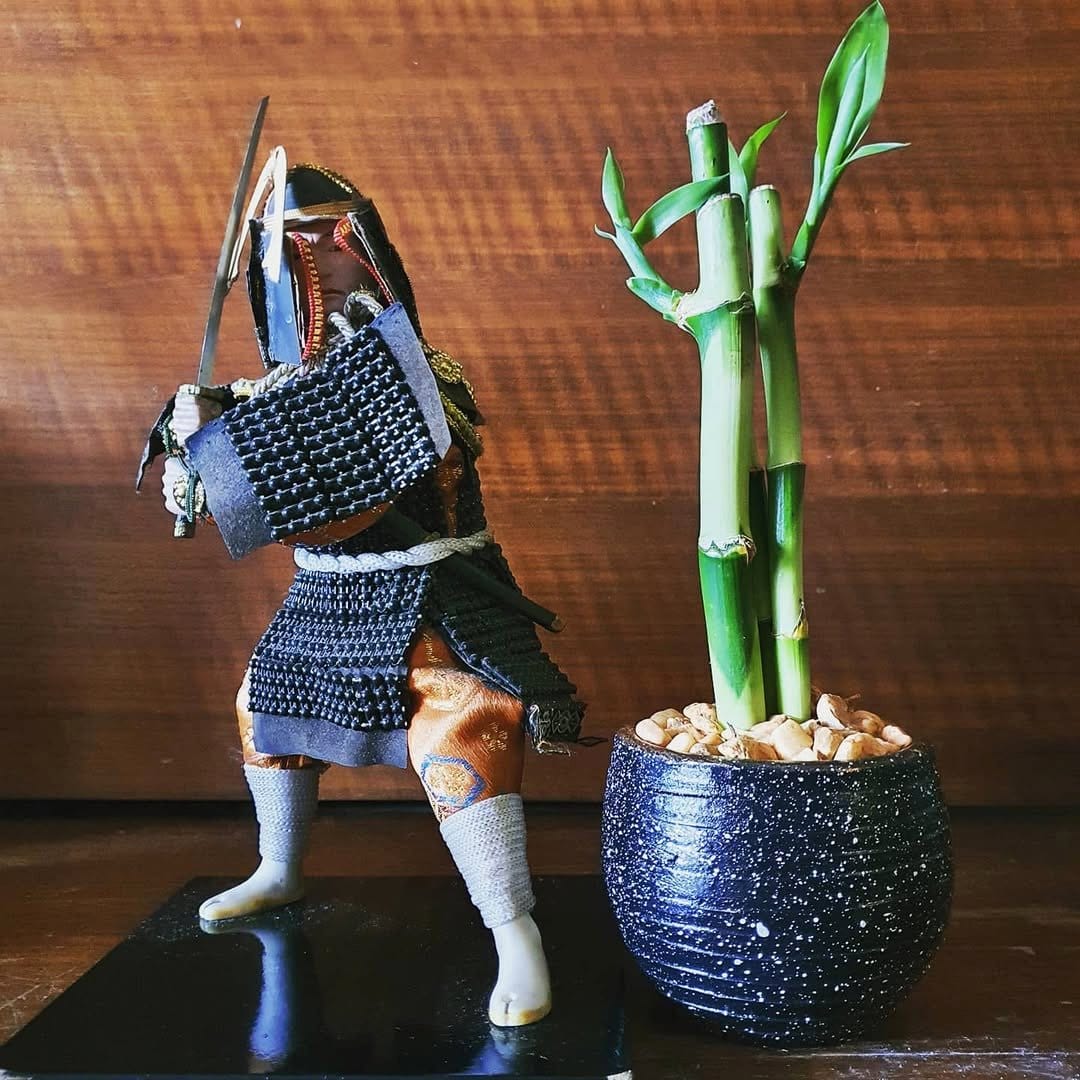 bamboo stalks in vase