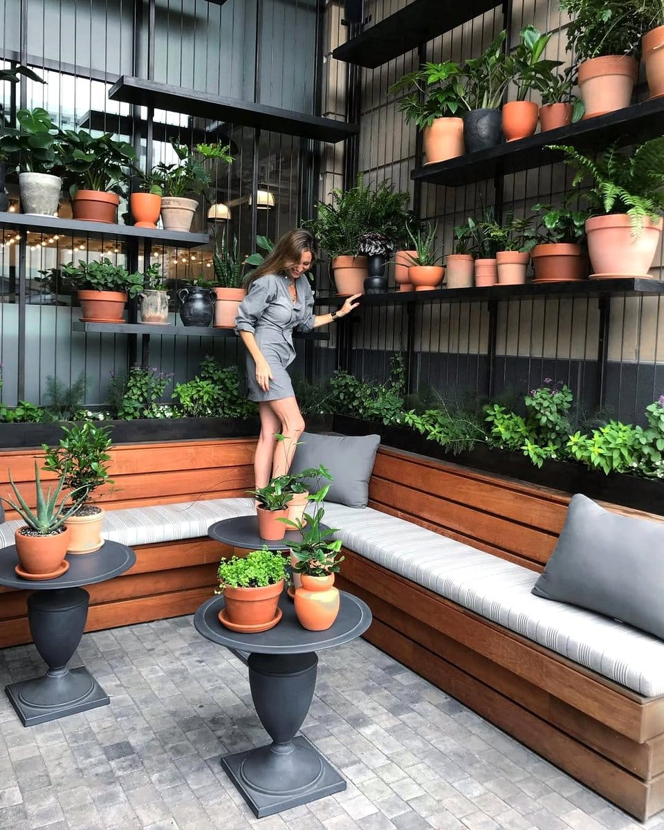 three terracotta pots with herbs