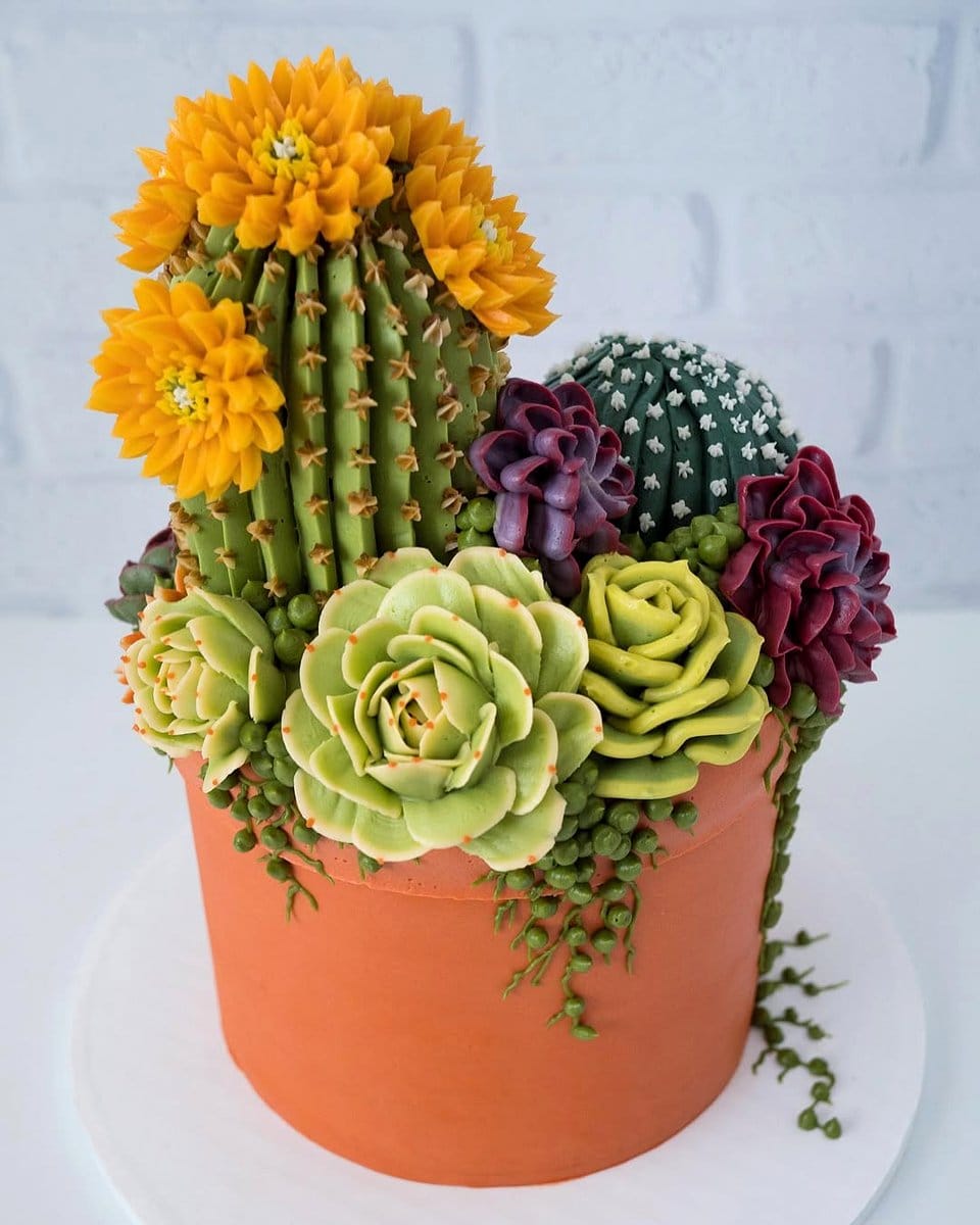 unique terracotta pot with cactus
