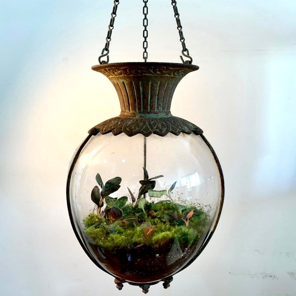 Modern hanging glass terrarium with salt crystals