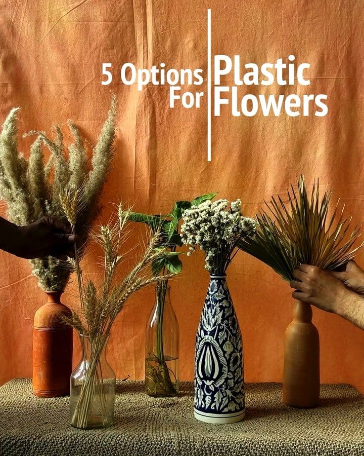 pampas grass in decorative vases