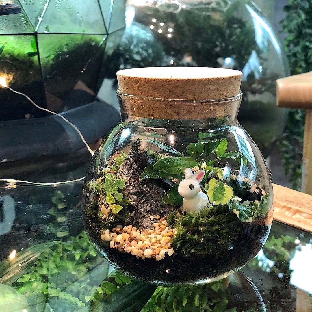 Glass terrarium with moss and mushroom scene