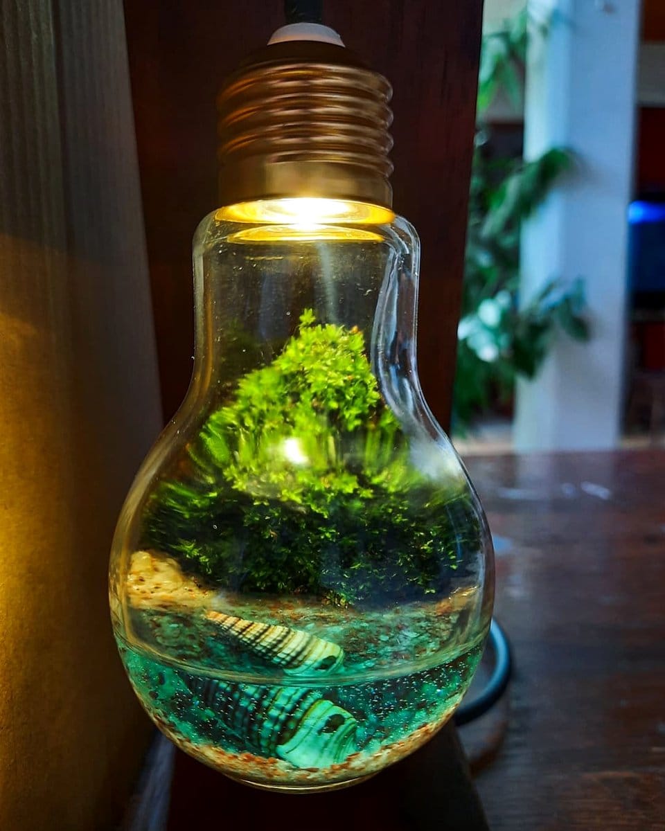 tiny light bulb terrarium