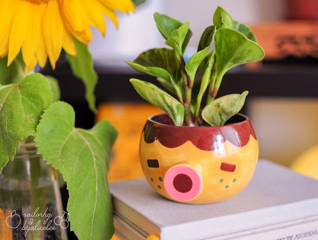 Charming pastel animal-shaped planters