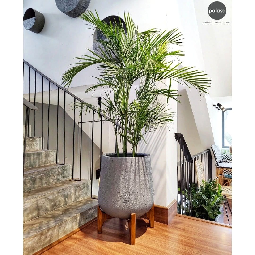 Stylish corner plant tower with teak wood