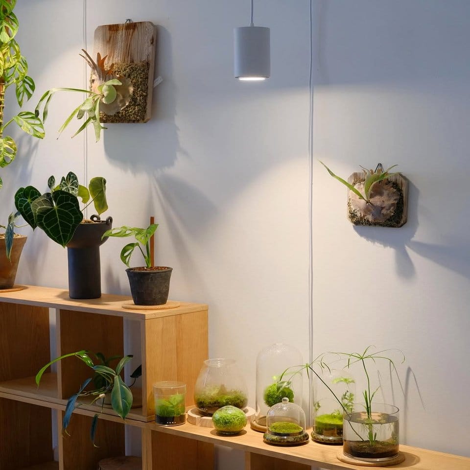 Wooden shelf with studded leather liner