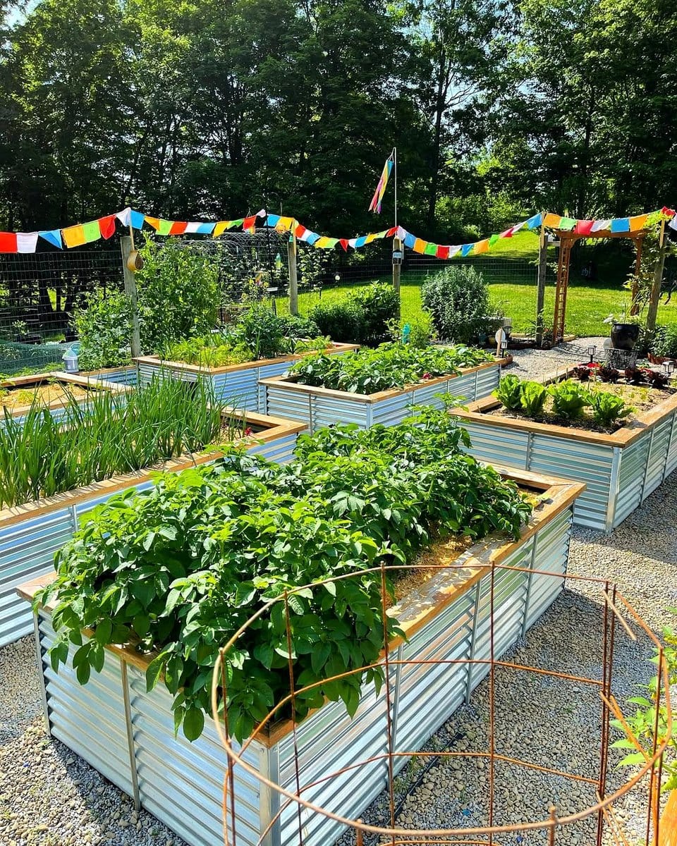 garden bed with organic mulch