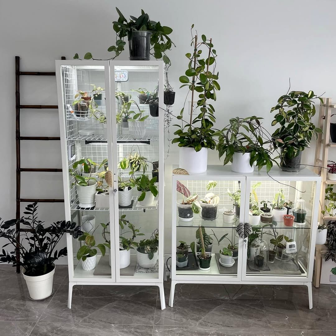 cabinet with open shelves and plants