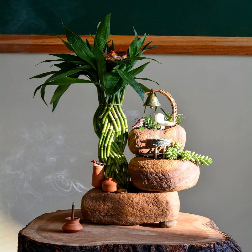 Multi-tiered driftwood plant display