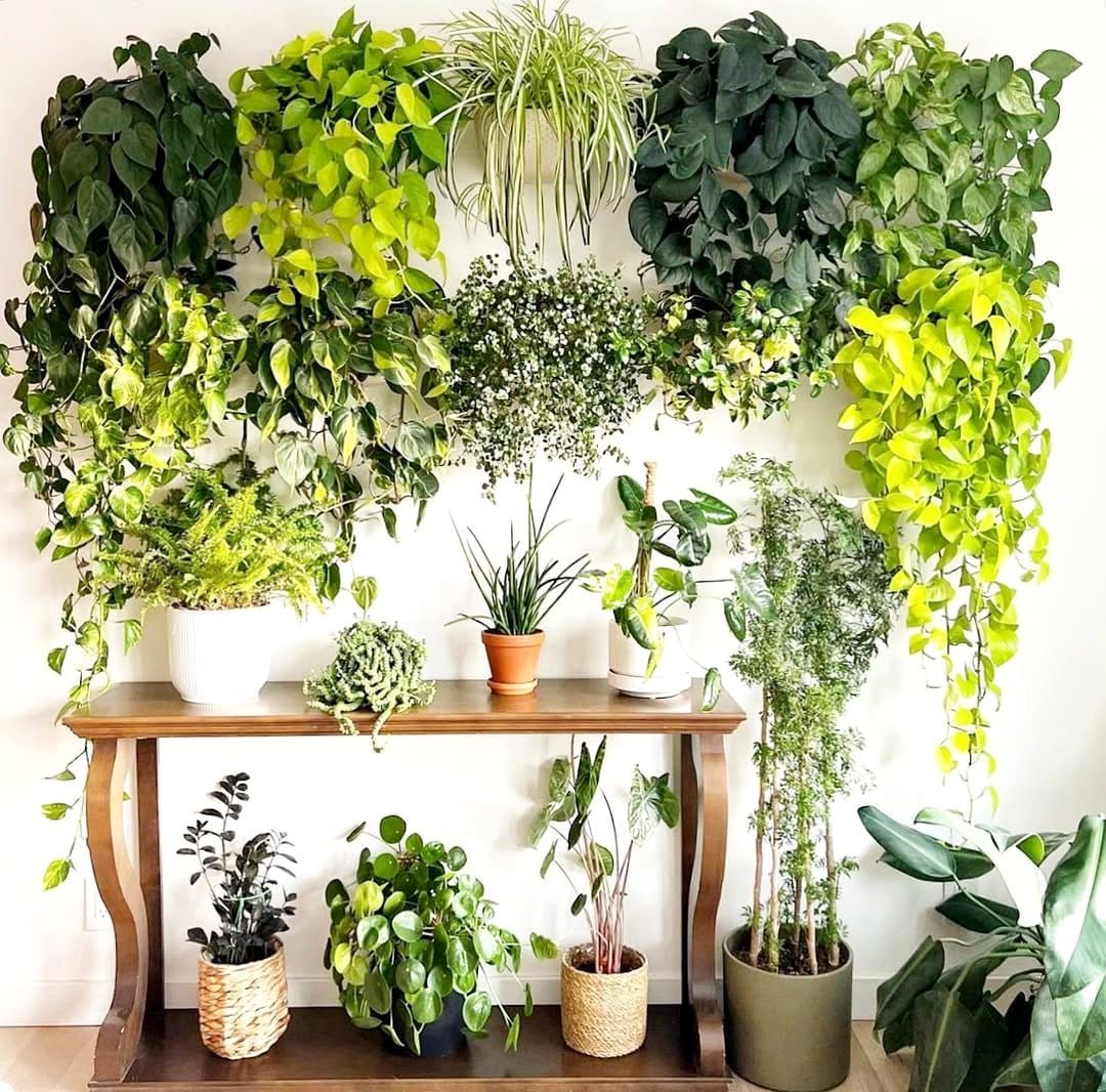 Flourishing plant growth with wool wrap