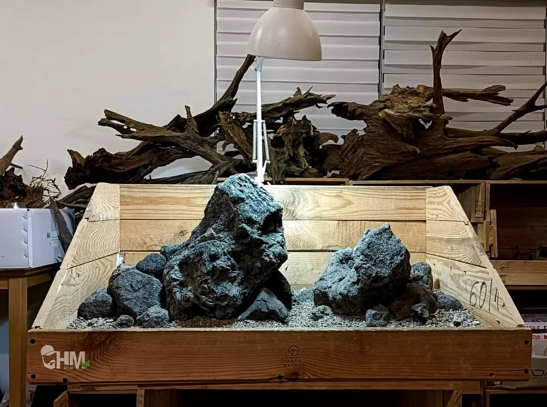 lava rock and driftwood arrangement