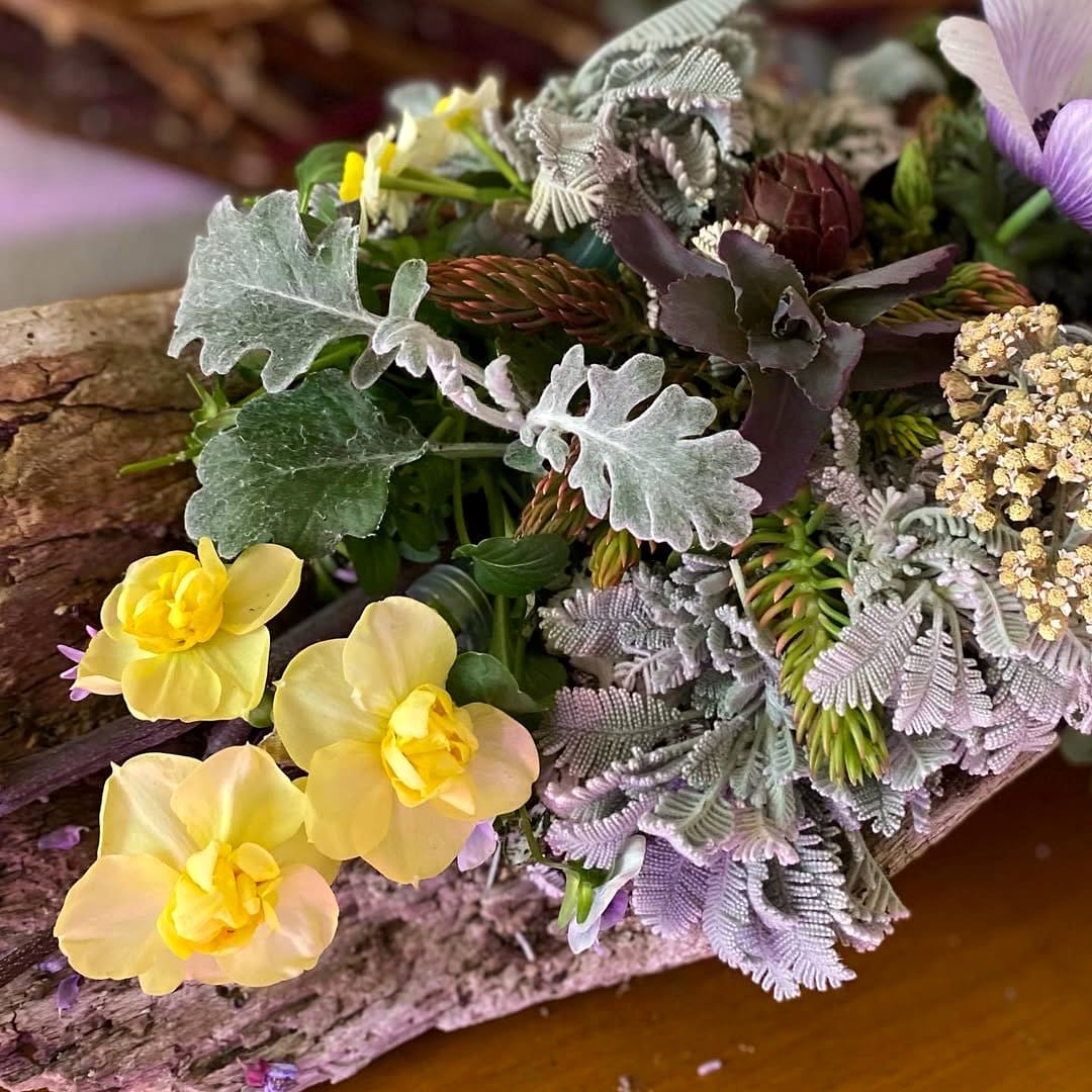 Driftwood with floral accents plant display