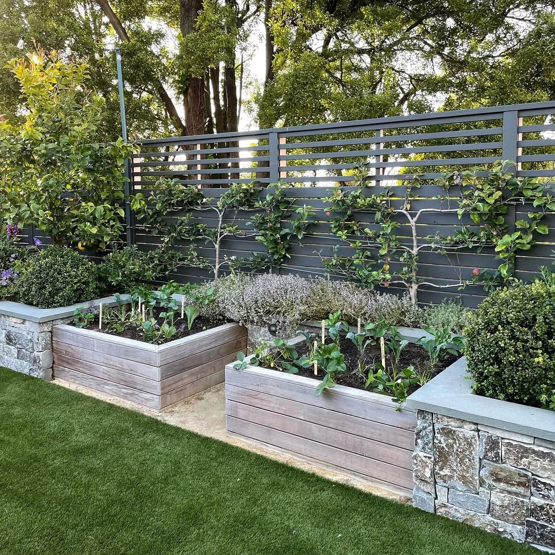 mustard greens in small garden