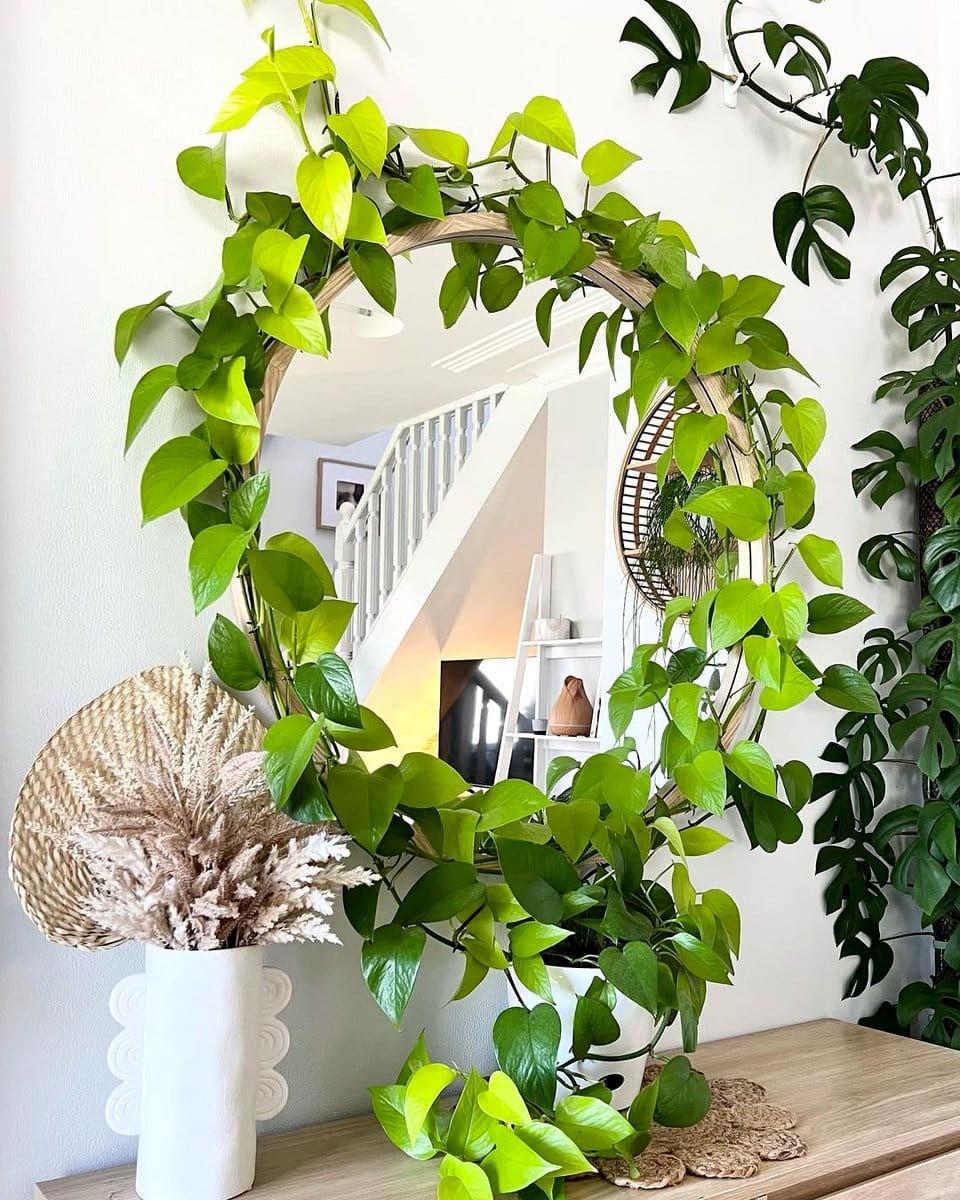eucalyptus stems in a vase