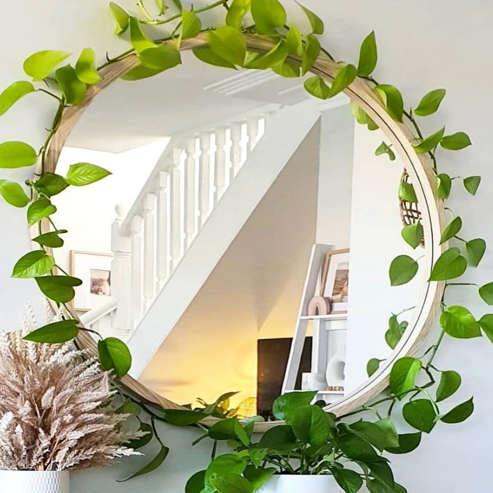 Reflective holographic plant pathway