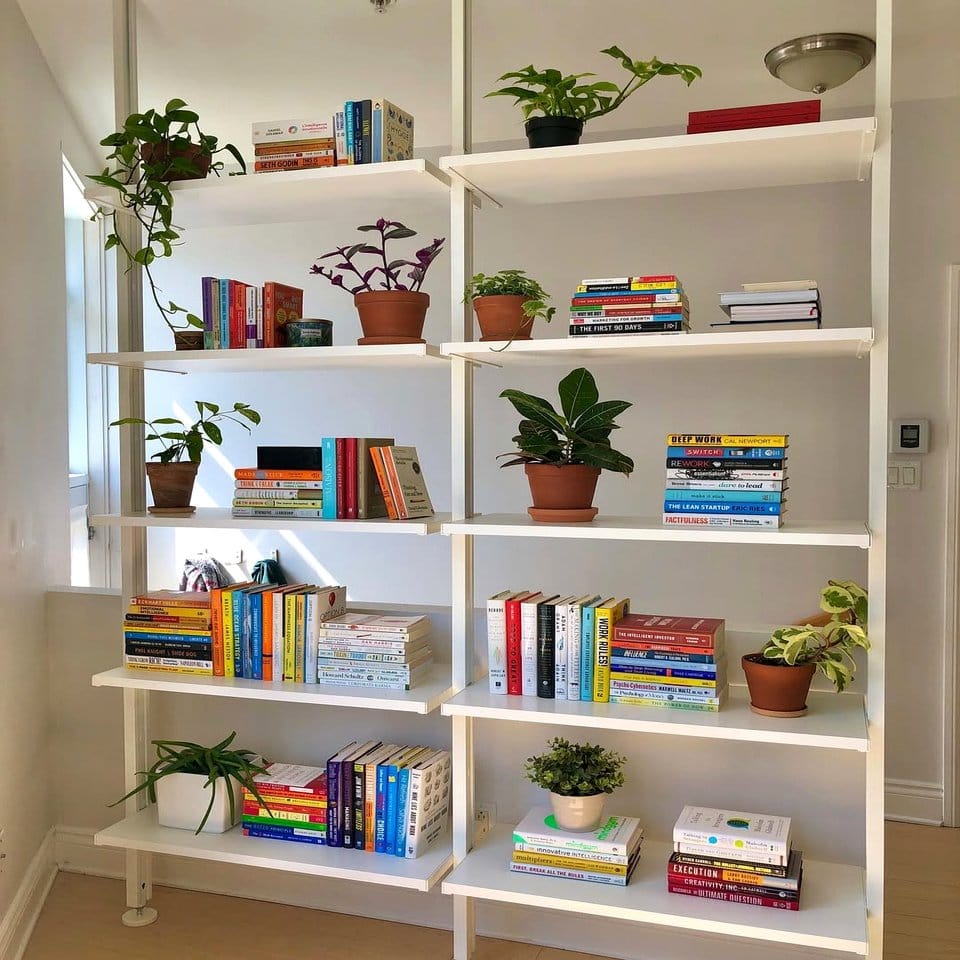 Bookshelf with raindrop glass planter bookends