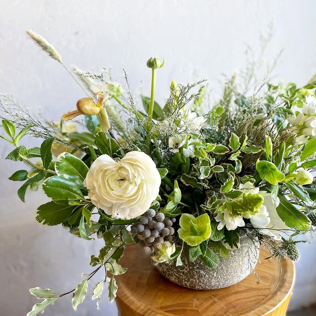 Rustic wooden table with jade plant centerpiece