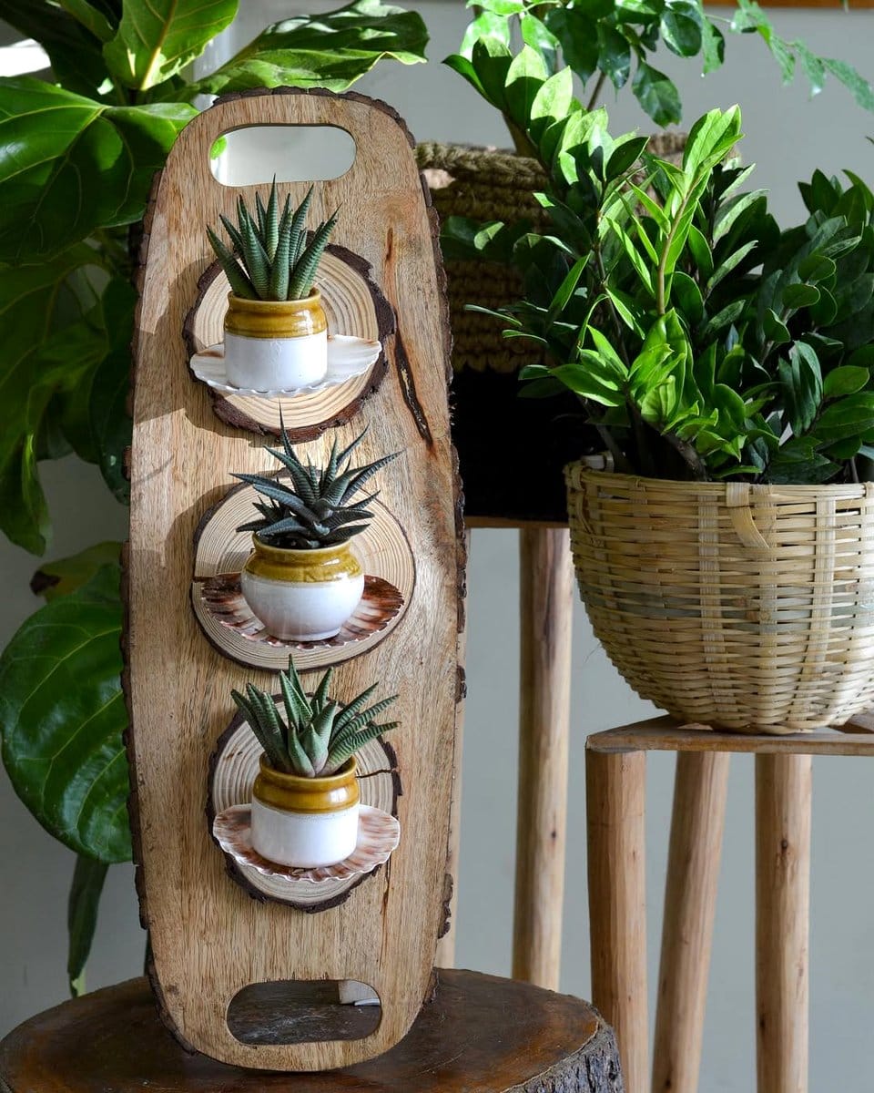 minimalist white cable spool table with succulents