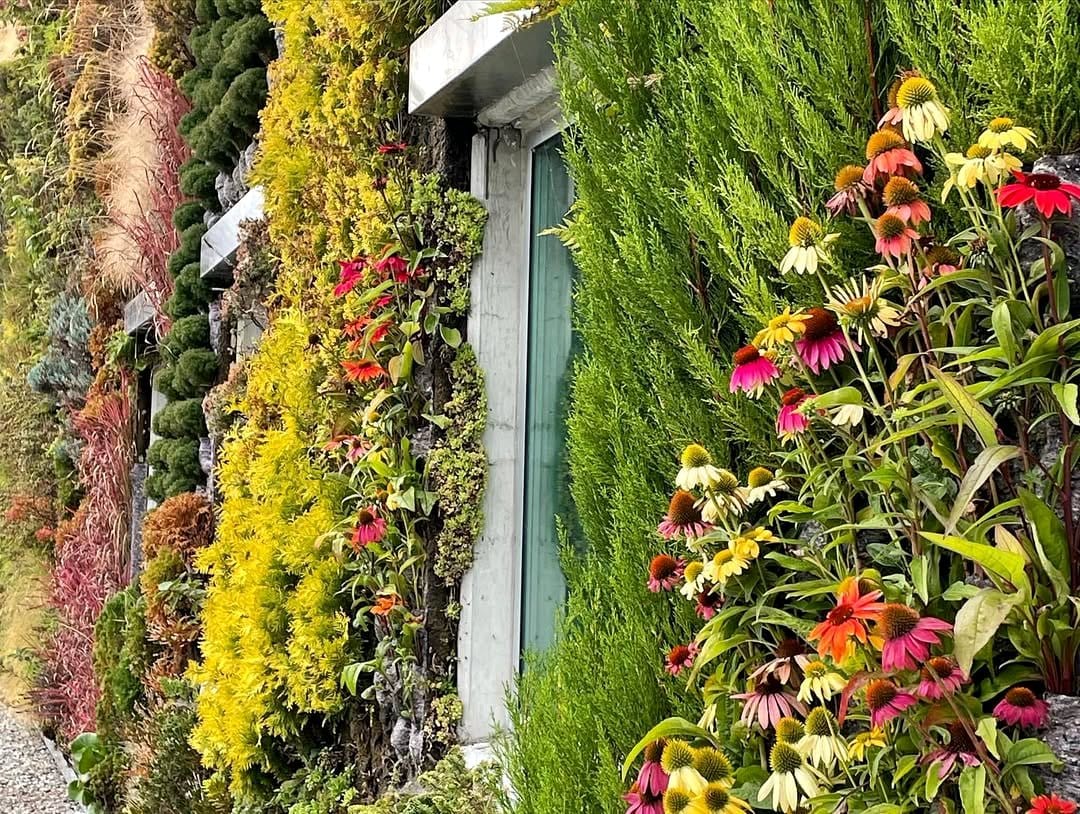 vertical plant wall in library