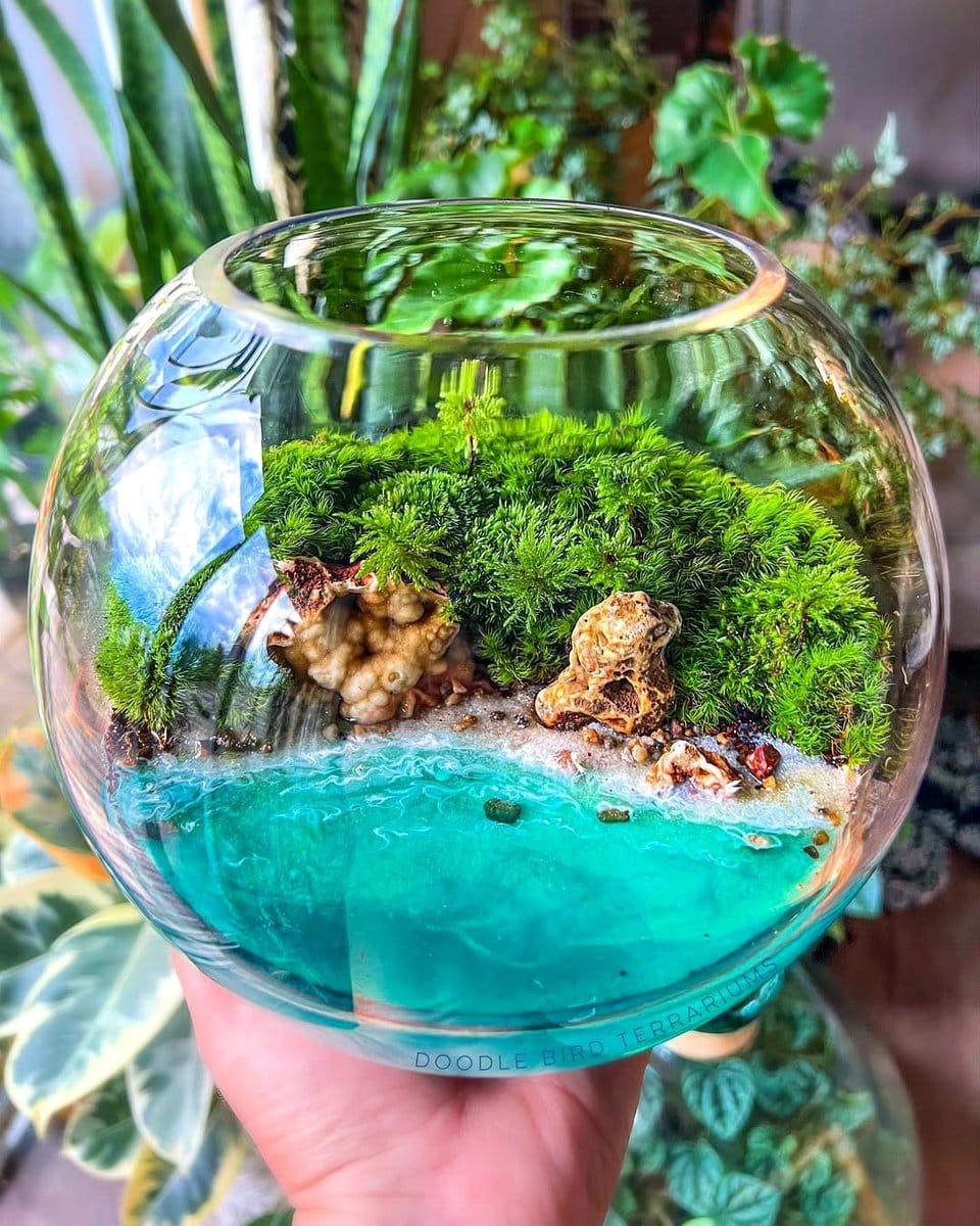 Vibrant sea glass terrarium with ferns
