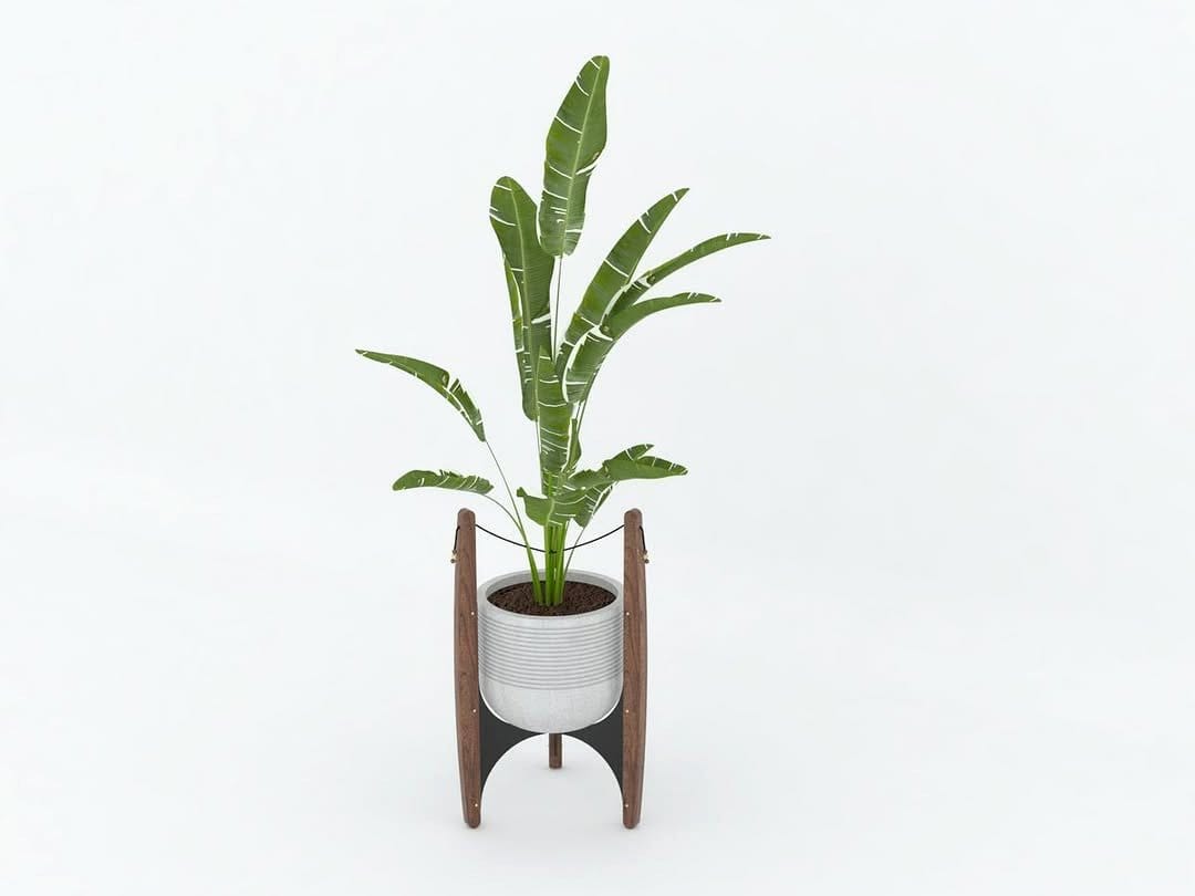 Double bass used as plant stand