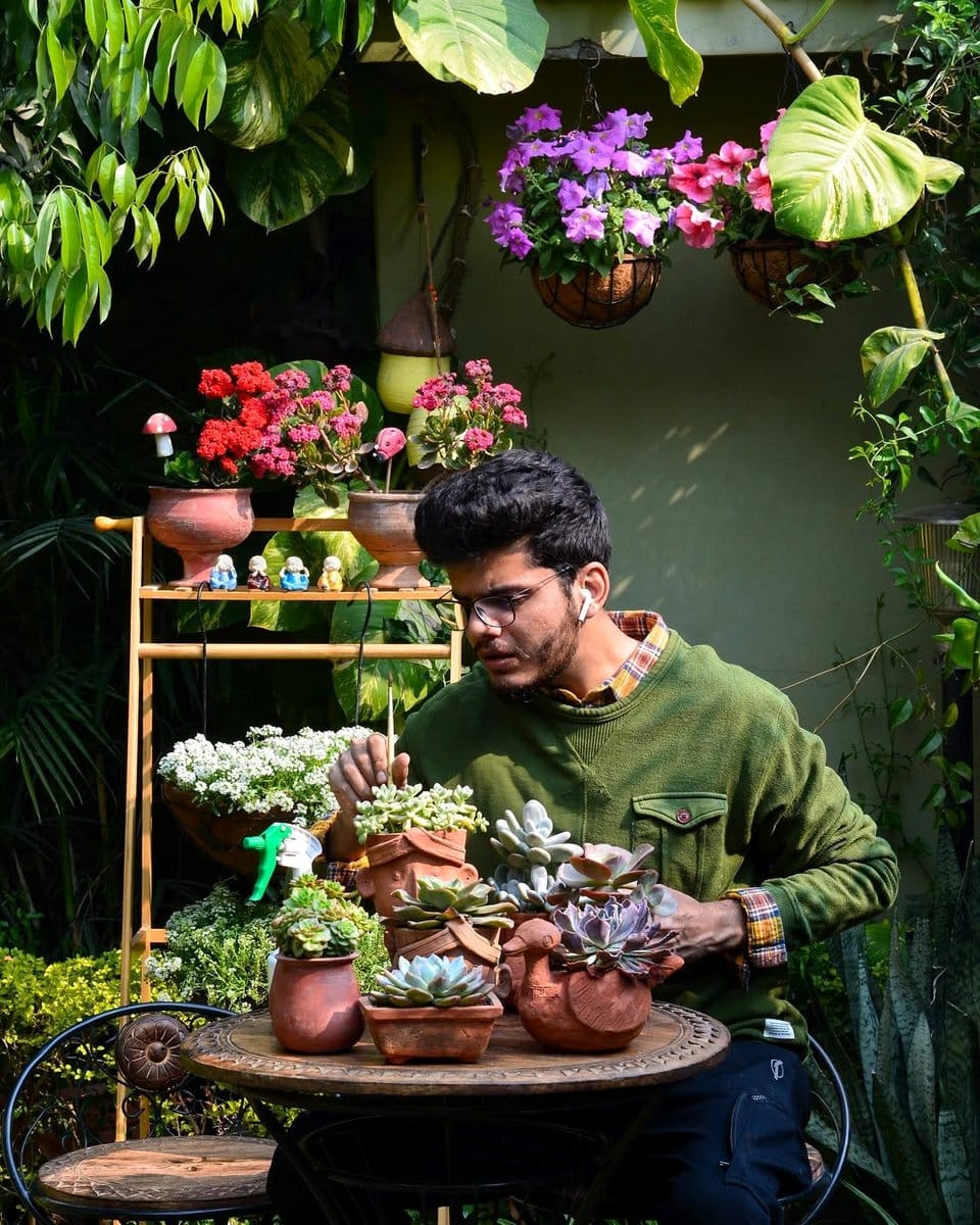 fabric screen with attached succulents
