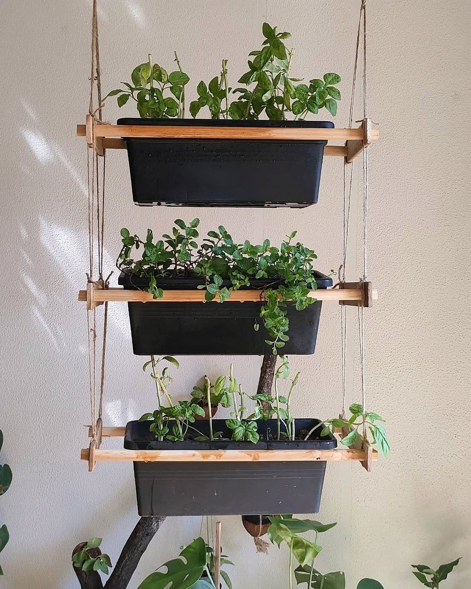 string of bananas along a shelf edge