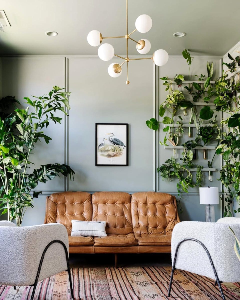 fiddle leaf fig in a living room corner