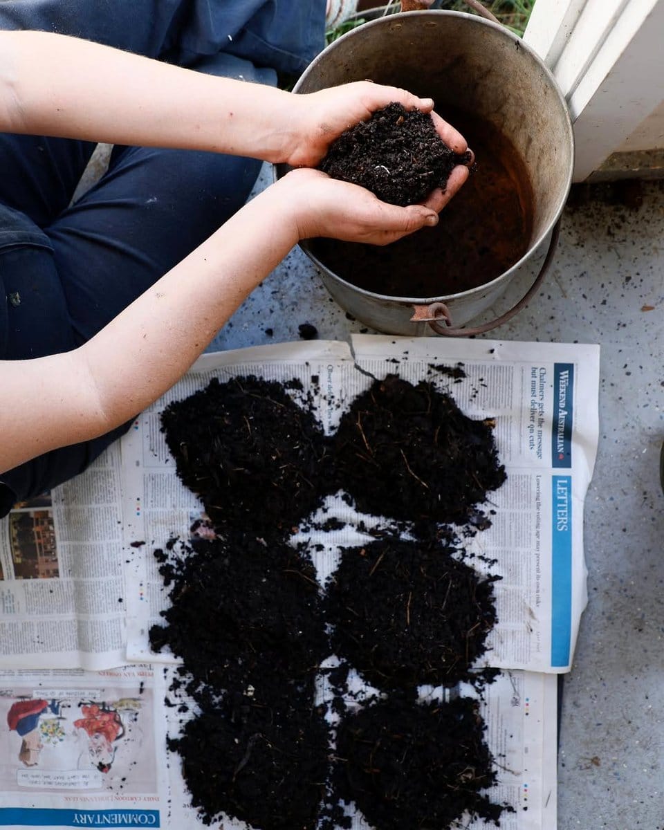 newspaper sheets covering soil