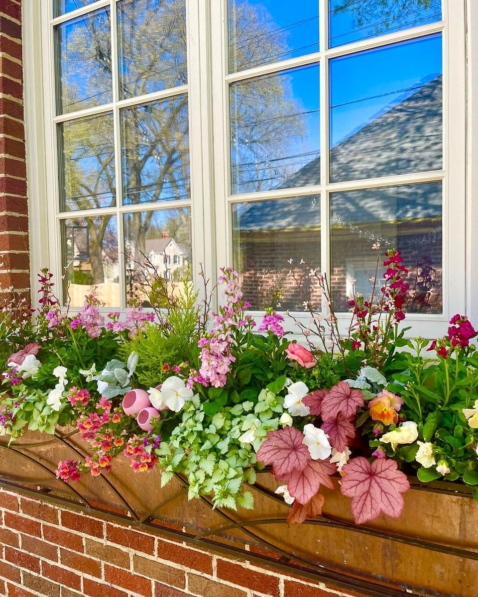 vibrant window box with flowers