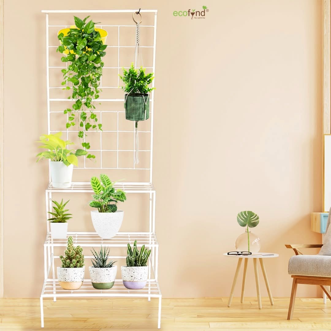 ladder with hanging baskets and greenery