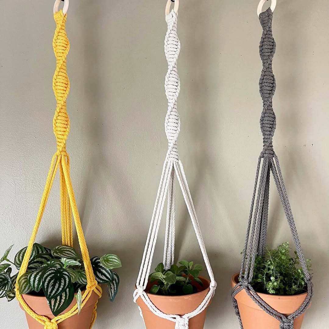 plant cuttings in hanging macramé planter
