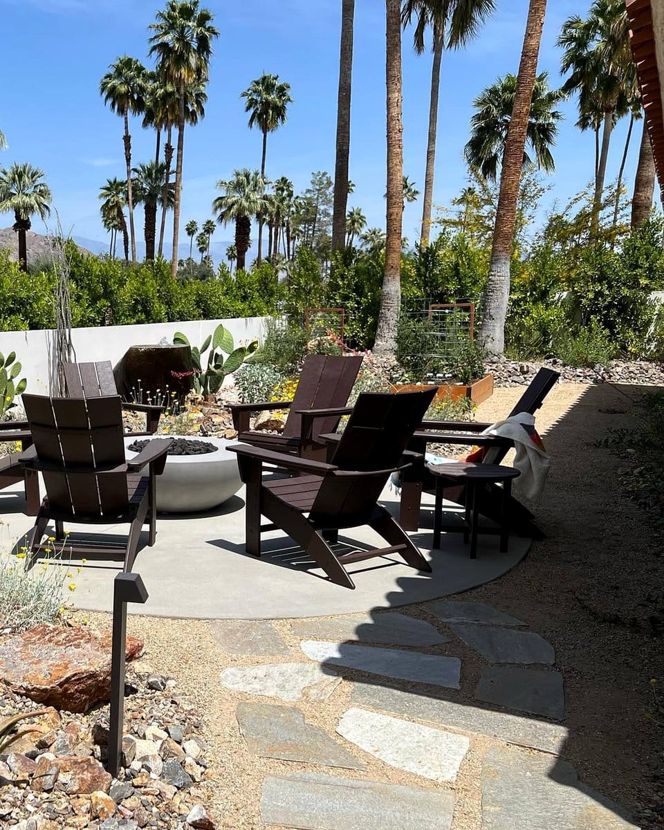 Assorted cacti in sandy soil around firepit