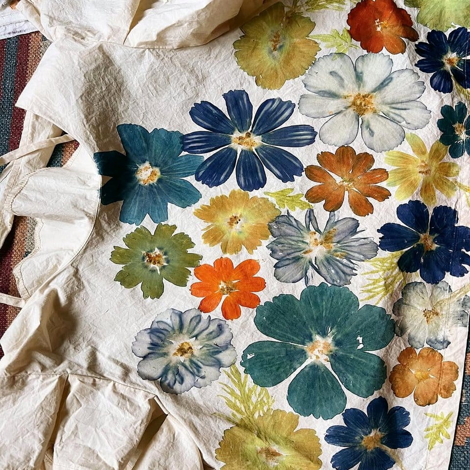 Collection of natural plant dyes