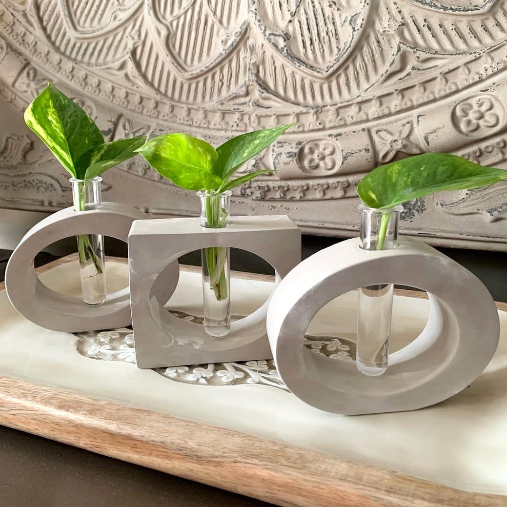 Sequined plant propagation station setup