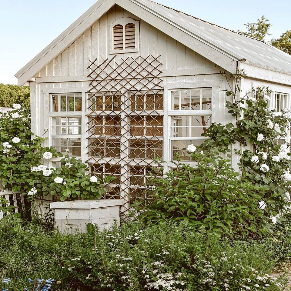 Whimsical tapestry plant gazebo setup