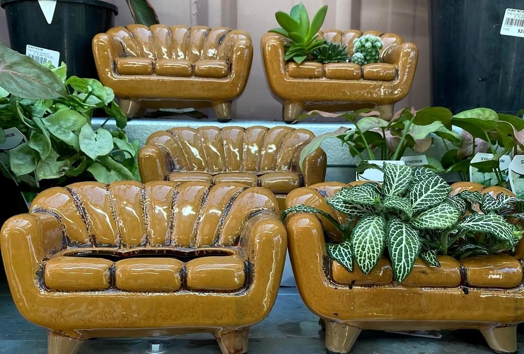tropical plants in piano planter