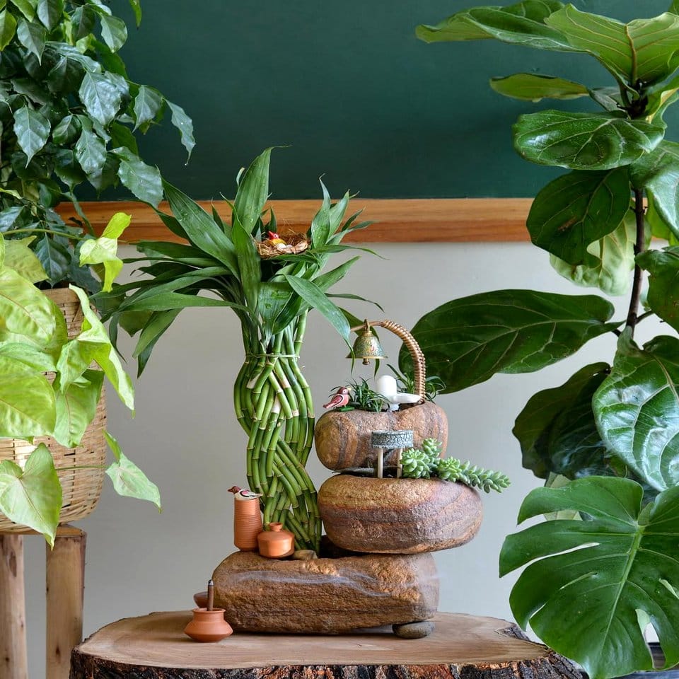 Artistic pastel plant terrarium