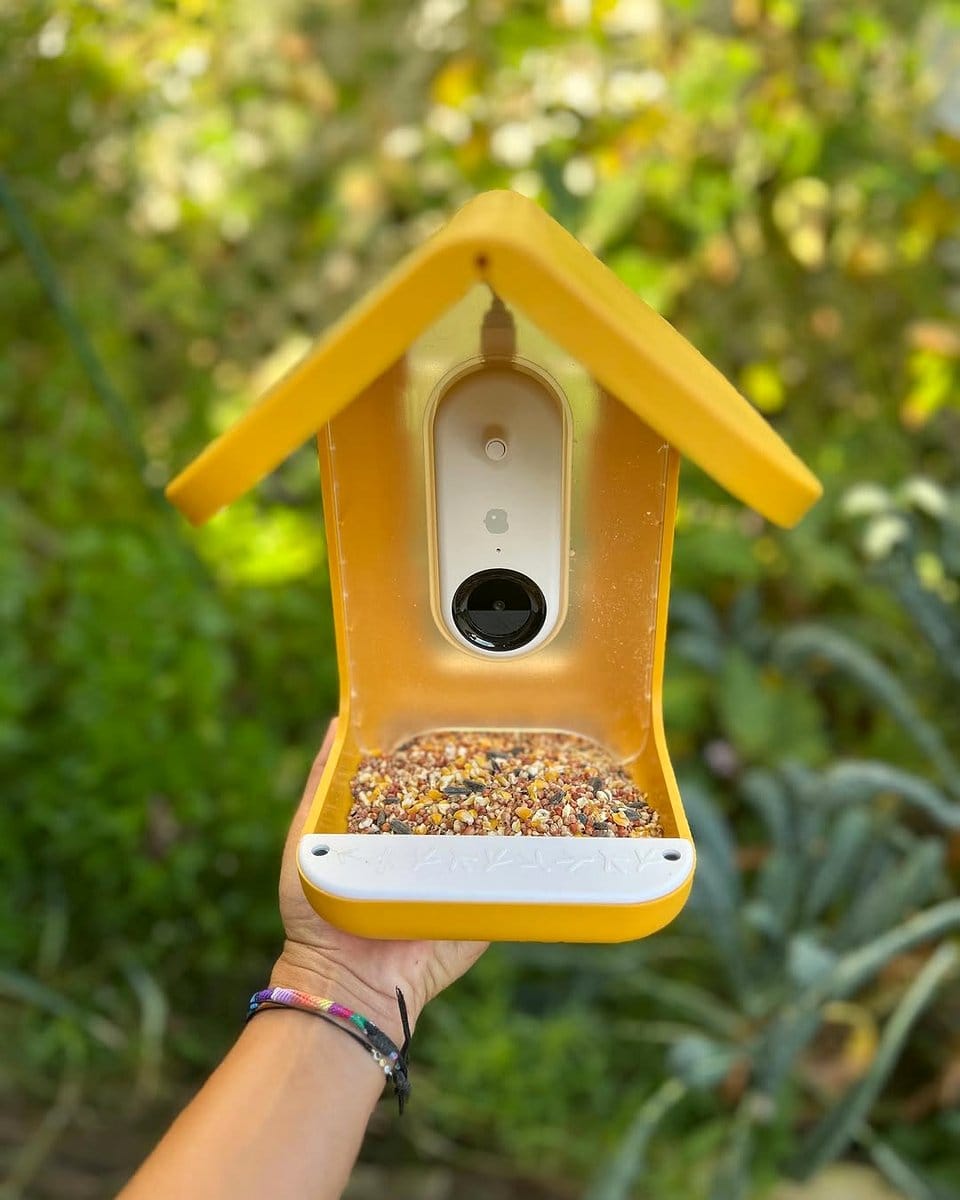 bird feeder with crushed eggshells