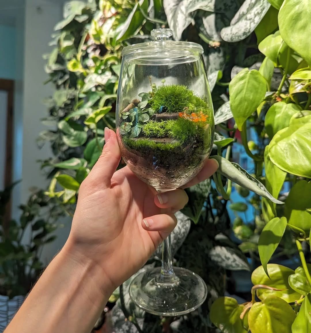 glass terrarium with moss