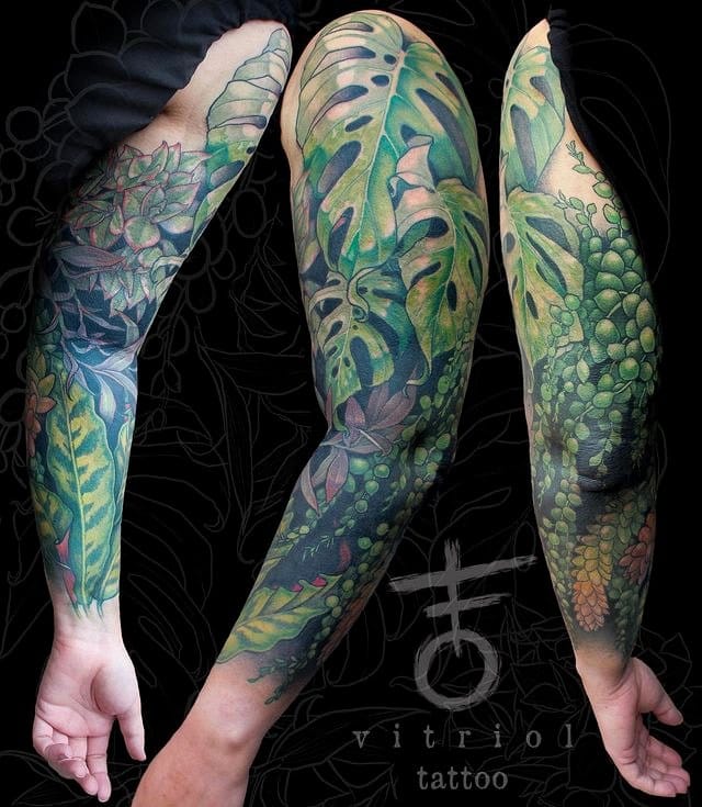 Art prints of plants with tattoo-style embellishments