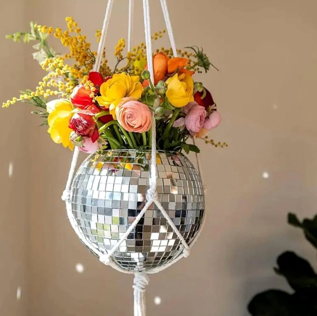 Creative wall display with disco ball plant hangers