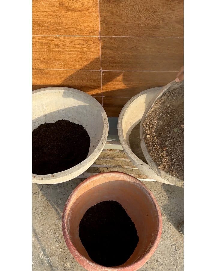Vertical garden with Lotus Pond ceramic pots
