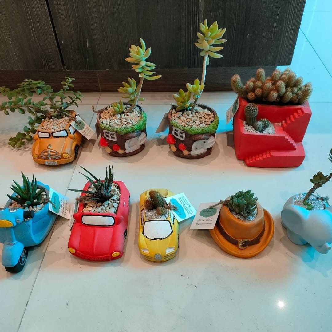 Chic succulents in geometric planters