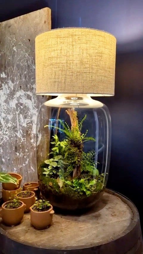 Glass terrarium with lava lamp glow
